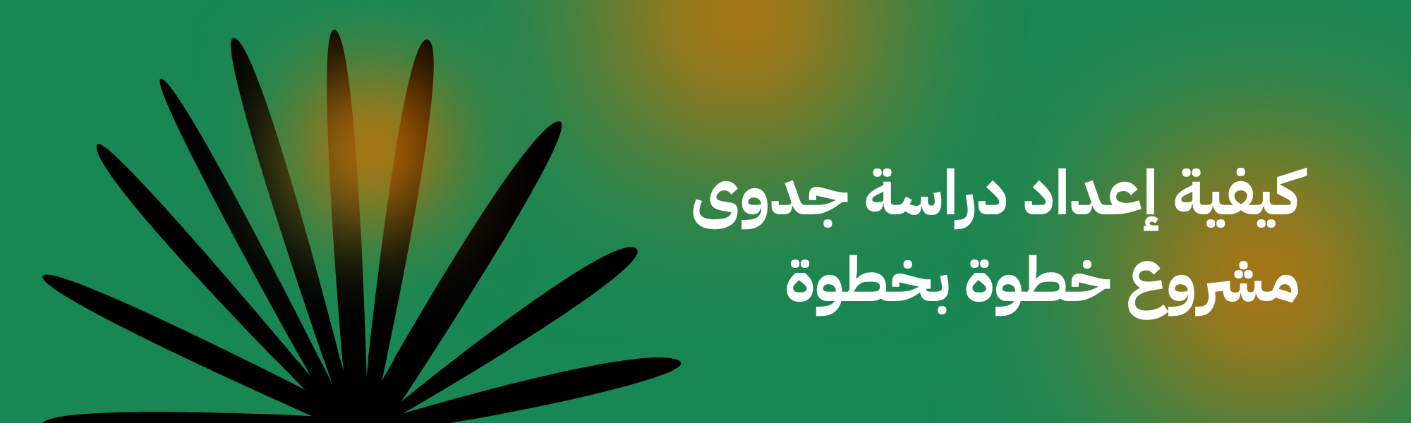 كيفية إعداد دراسة جدوى مشروع خطوة بخطوة
